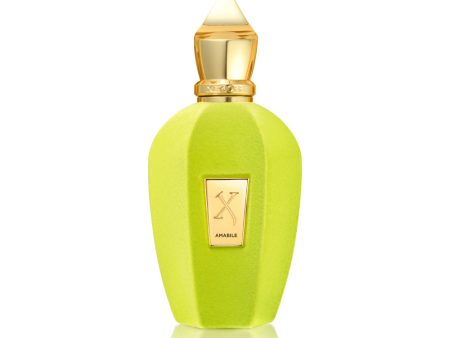 Xerjoff V Amabile Eau De Parfum 100ml Online Hot Sale