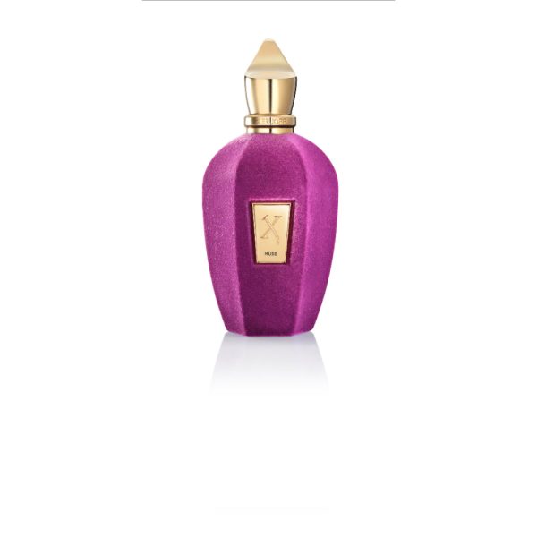 Xerjoff V Muse Eau De Parfum 100ml For Cheap